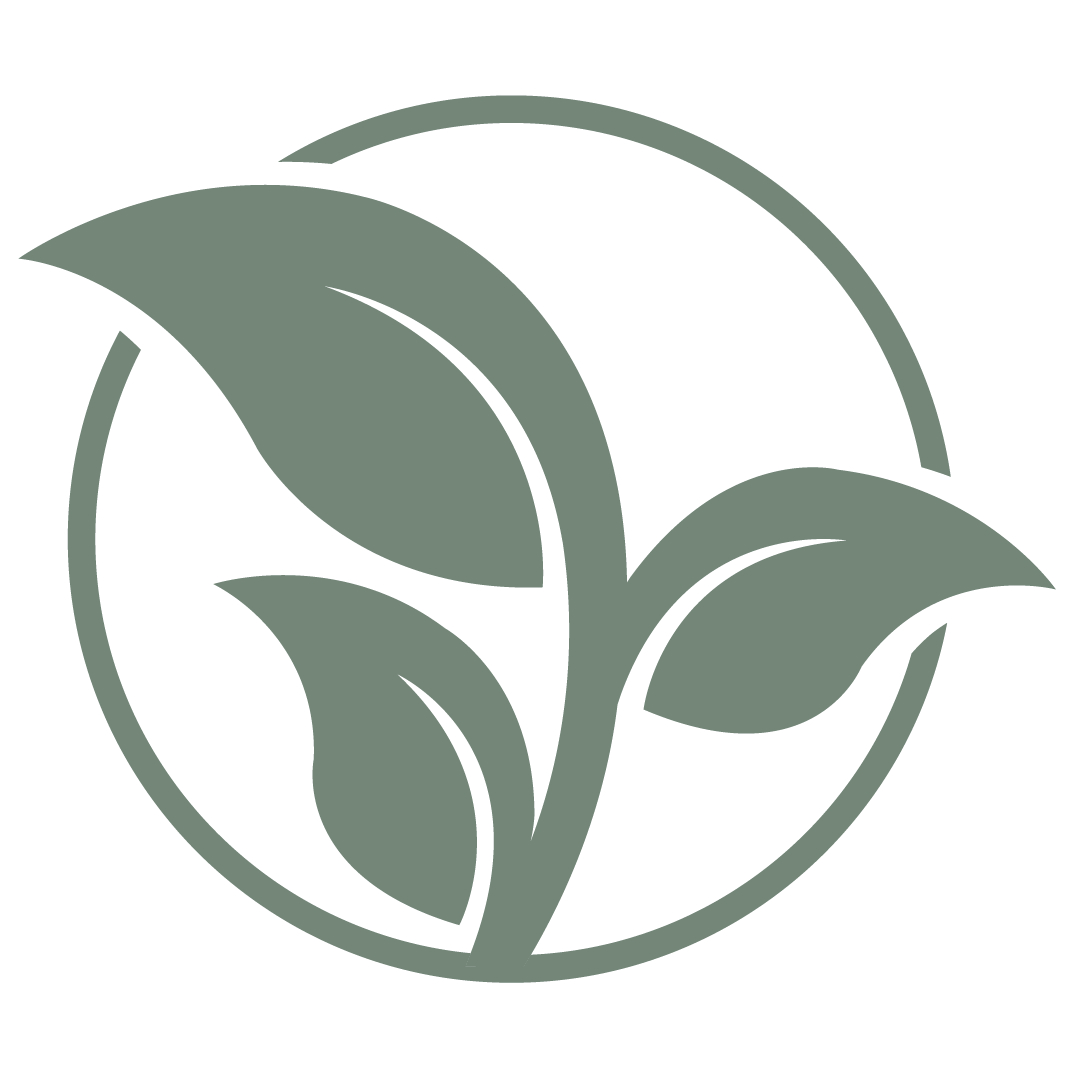 Cupom Botanic Soul – Descontos em Produtos Naturais 20% OFF